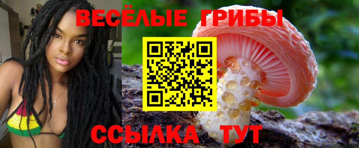 Псилоцибиновые грибы мицелий Губкинский