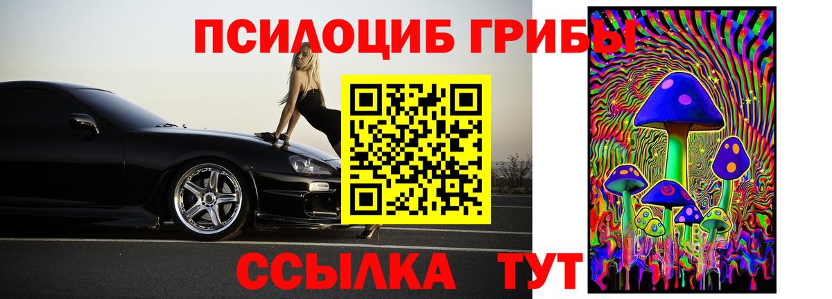Галлюциногенные грибы Psilocybe  Вход с VPN  Псилоцибиновые грибы Psilocybine cubensis  Губкинский 